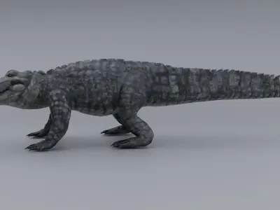 Alligator Low-poly 3D model