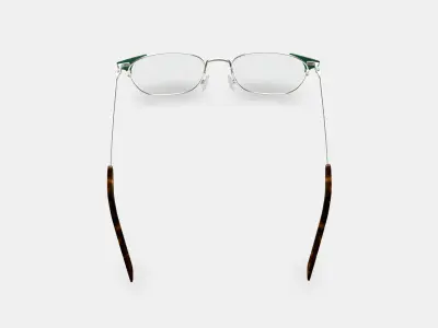 Heyward Eyeglasses in Antique Silver with Pine 3D model