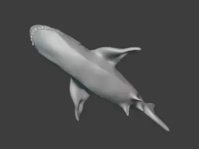 Shark 3D model shop