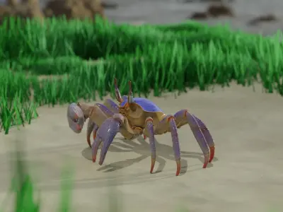 Ghost crab 3D model