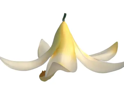  Vanilla Flower 