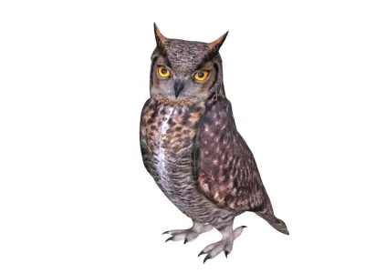 Horned owl Low-poly 3D model