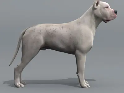  12 Dogs Collection (2) 