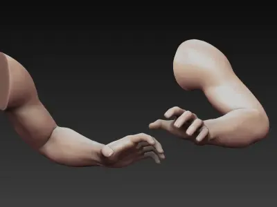 12 Male Arms 3D model