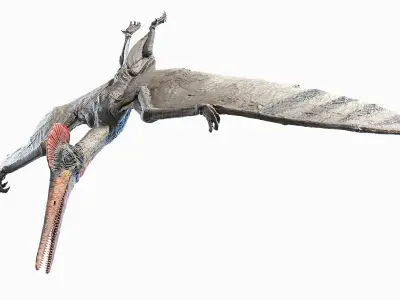 Pterodactyl Animated 3D model