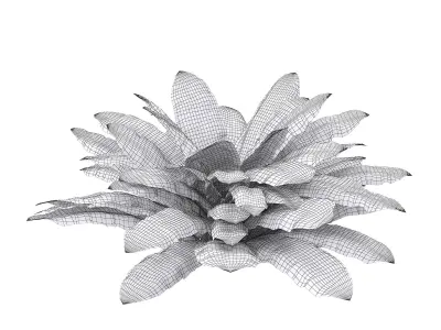 Sword Fern Bundle 3D model purchase