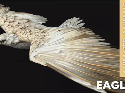 Eagle A2 Free 3D model