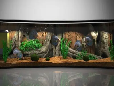 Panoramic Aqua Tank  3D model