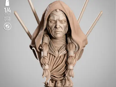 STAR WARS Darth Traya Portrait Bust 3D print model