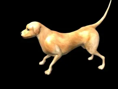 Textured dog Free 3D model