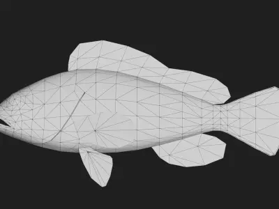 Bass fish Low-poly 3D model 2