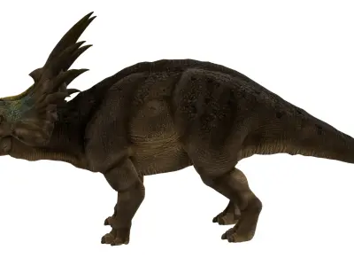 Styracosaurus 3D model purchase