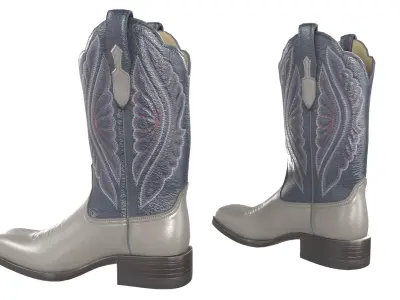 Grey Stitch Cowgirl Boots 3D model
