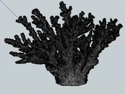 Intricate 3D scanned live Coral  3D model