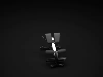 Low Back 3D model