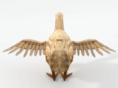 Dodo - Raphus cucullatus Low-poly 3D model