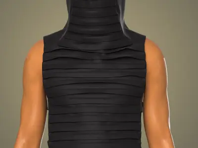 Collar Vest 3D model