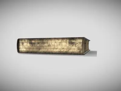 Fantasy Book Low-poly 3D model