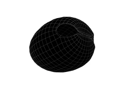 Wooden Fish V1 001 Low-poly 3D model