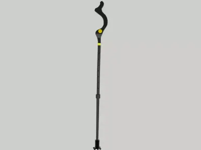 campbell walking stick 3D model
