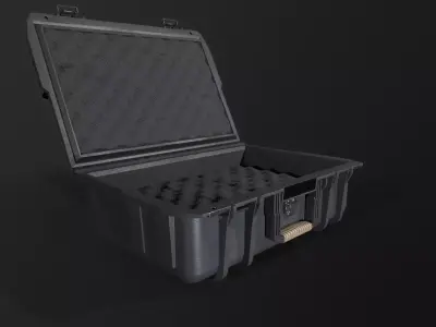 Protected Case Low-poly 3D model