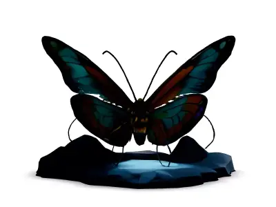 Realistic 3D Butterfly on a Rock Low-poly 3D model