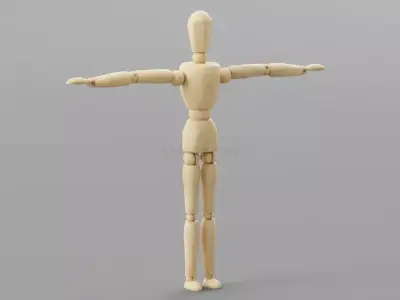 Rigged Mannequin Free 3D model