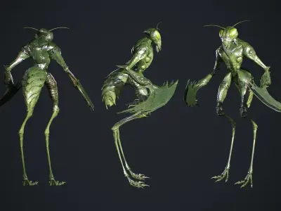 Insect Creature 2 Low-poly 3D model purchase