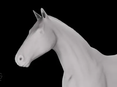 Horse Sculpt 3D model