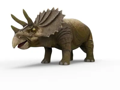 3D Triceratops dinosaur low poly  Low-poly 3D model