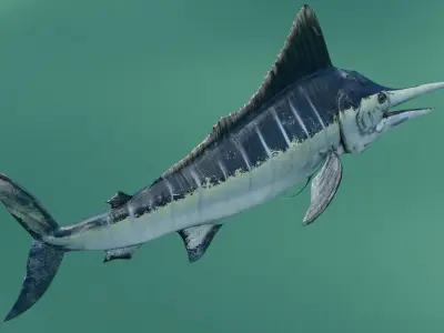 Sword Fish Animated Low-poly 3D model