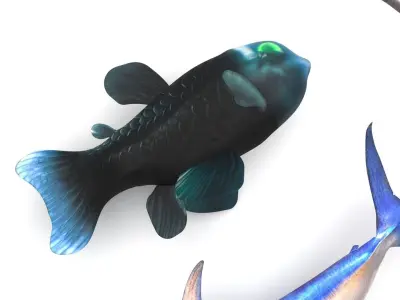 Fishes Set 3D model get