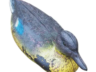 Decorative duck for artificial ponds and pools 2 3D model