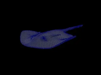 Round Ribbontail Ray Fish 3D model