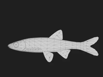 Carp fish Low-poly 3D model 4