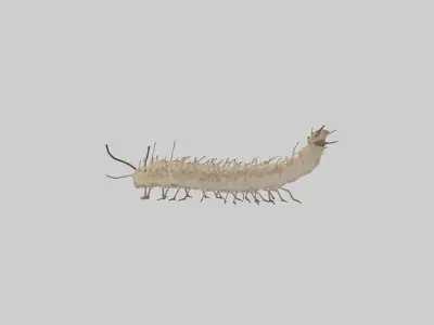 Eastern Tent Caterpillar Low-poly 3D model
