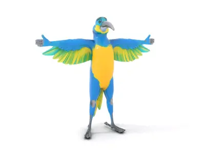 Cartoon Parrot Character Model Pack Low-poly 3D model