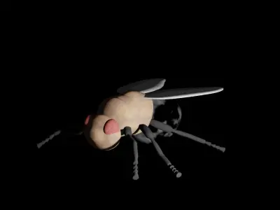 Fly Insect 3D model
