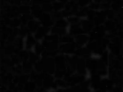 Stealth Fighter 3D model purchase