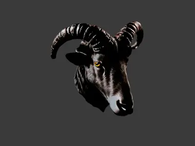 Animal Head Low-poly 3D model 16