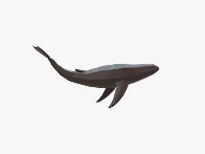 Whale low poly Low-poly 3D model