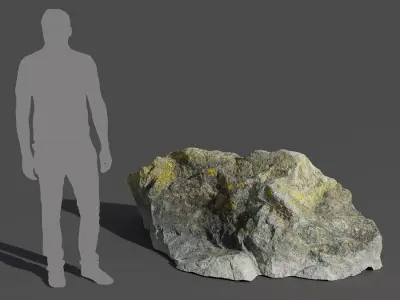  Medium Lichen Covered Beach Rock Model 
