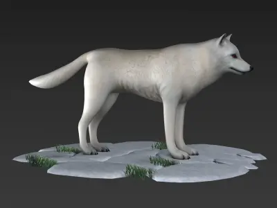 arctic wolf Labrador american mammal wolf 3D model