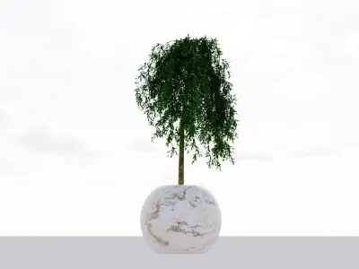 Gorgo Vase Design 3Dmodel Free 3D model