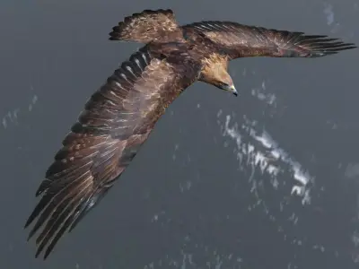 Low poly animated eagle Low-poly 3D model