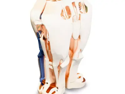 SciFi Robotic Legs with Internal Structure Low-poly 3D model