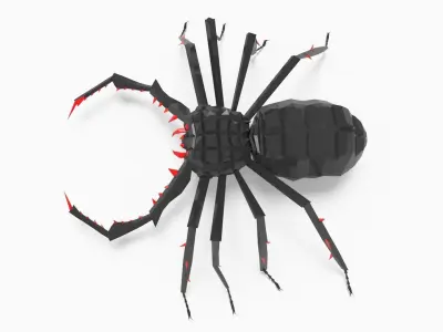 Bug low poly spider 3D model