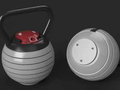 Adjustable Kettlebell Gray 3D model