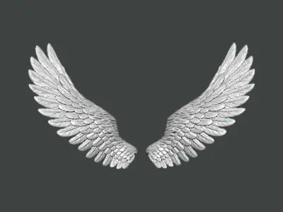 3D Model-WING0007 pair of silver wings 3D print model