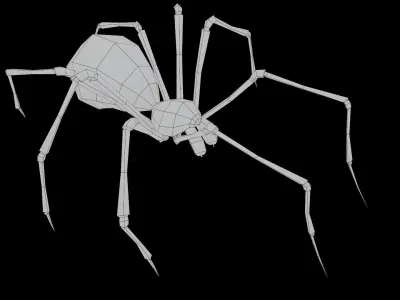 Spider Low-poly 3D model 5